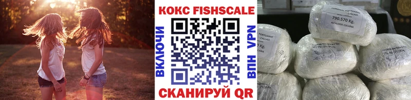 наркотики  Грязовец  мега ССЫЛКА  Кокаин Fish Scale 