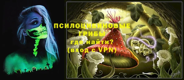 мяу мяу мука Бородино