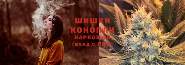 индика Верхнеуральск