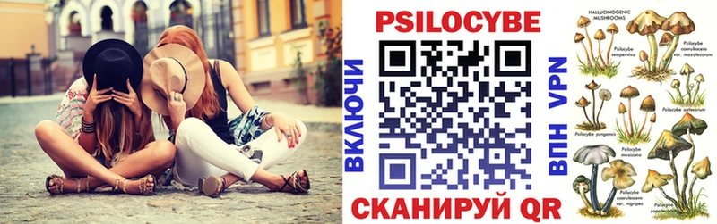 где купить наркоту Грязовец kraken маркетплейс Псилоцибиновые грибы Psilocybine cubensis
